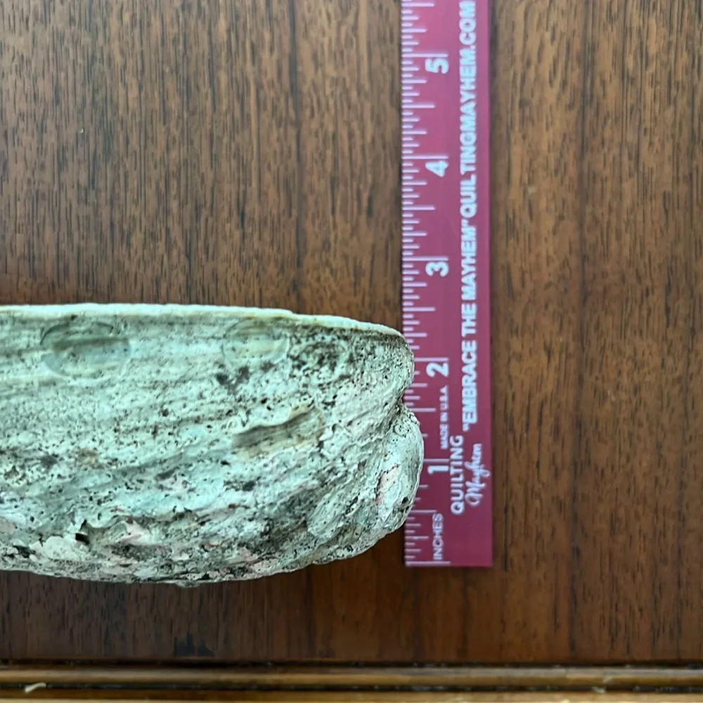 Abalone Shell Incense Burner-Smudge Bowl - Picture 12 of 13